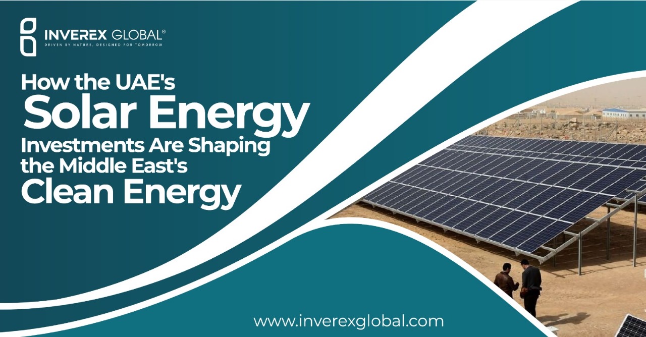 How the UAE Solar Energy Investments Are Shaping the Middle East Clean Energy